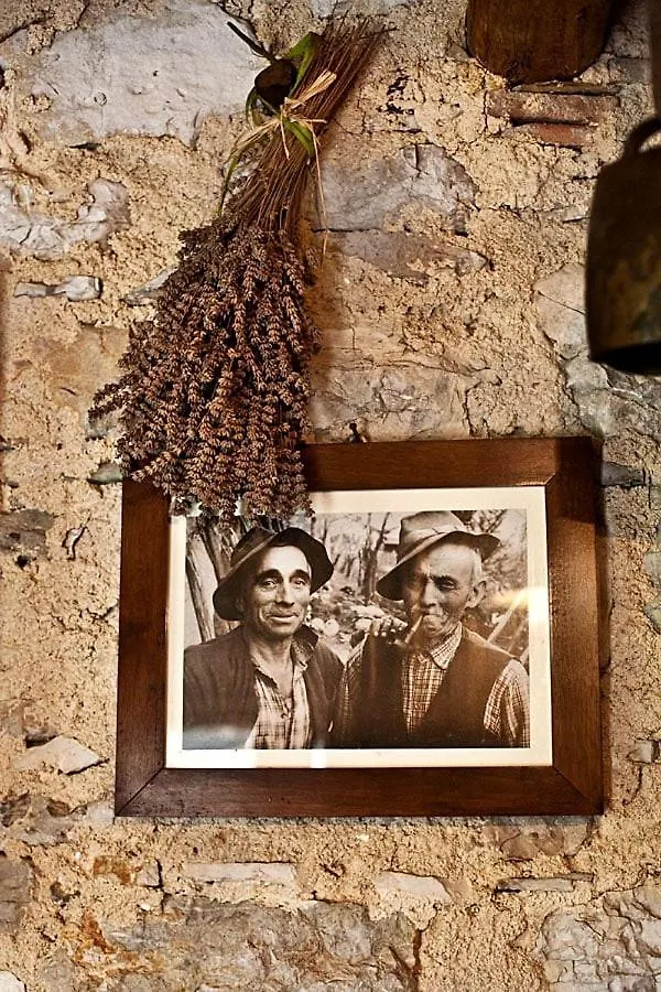 Borgo Stramare Fra Valdobbiadene E Segusino Villa Sequsino Holiday home